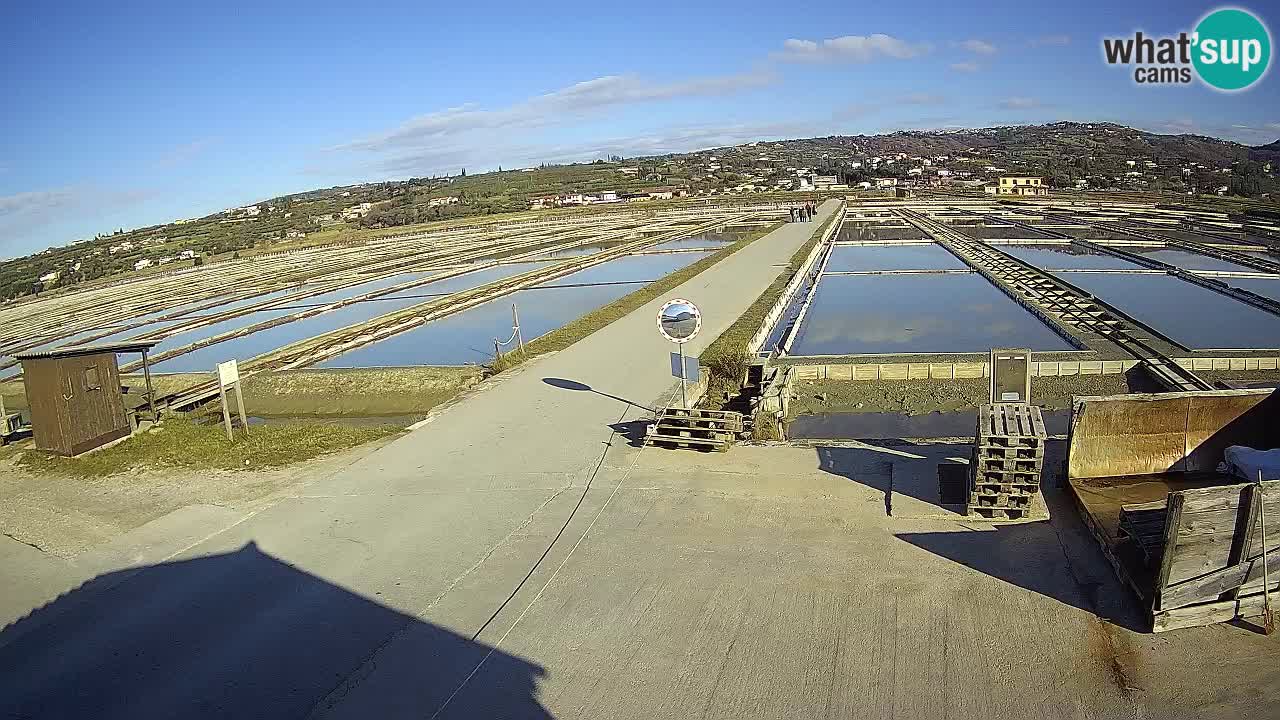 Krajinski Park Sečoveljske Soline