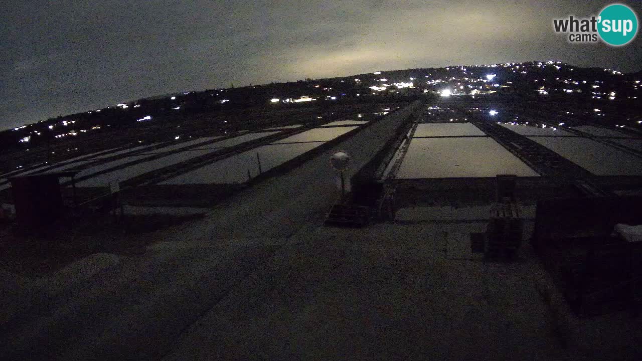 Seča – Panorama and Salina