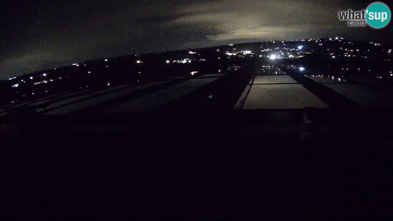 Parco Naturale Saline di Sicciole