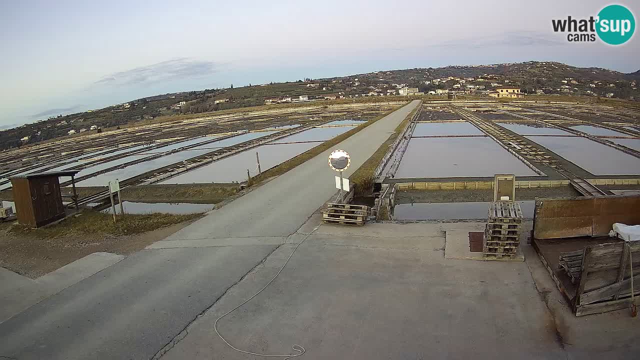 Krajinski Park Sečoveljske Soline