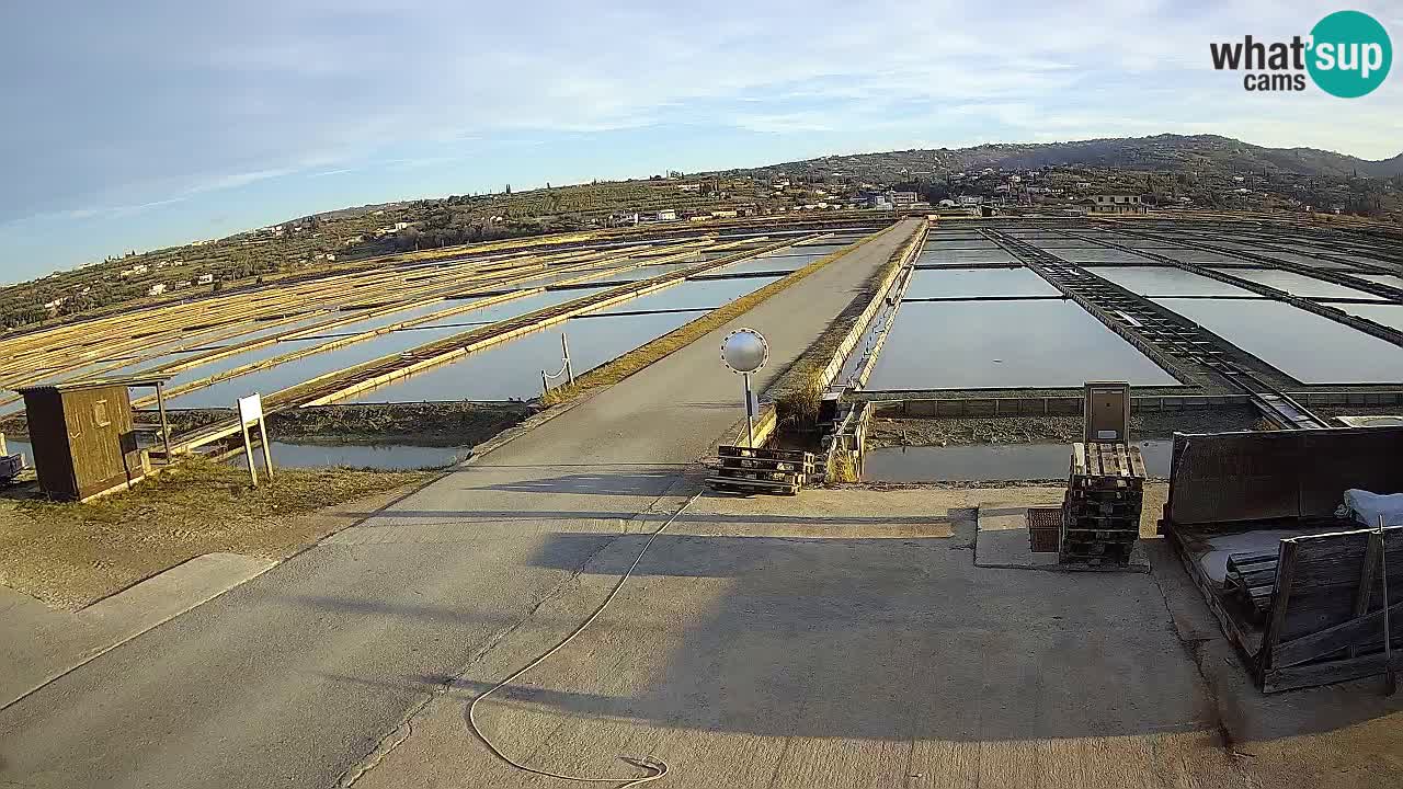 Sečovlje Salina Parque Natural