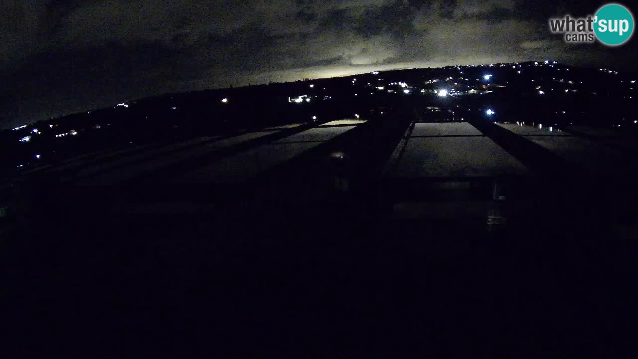 Krajinski Park Sečoveljske Soline