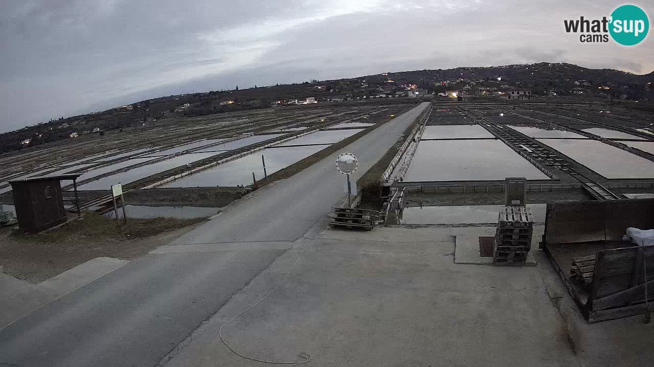 Seča – Panorama and Salina