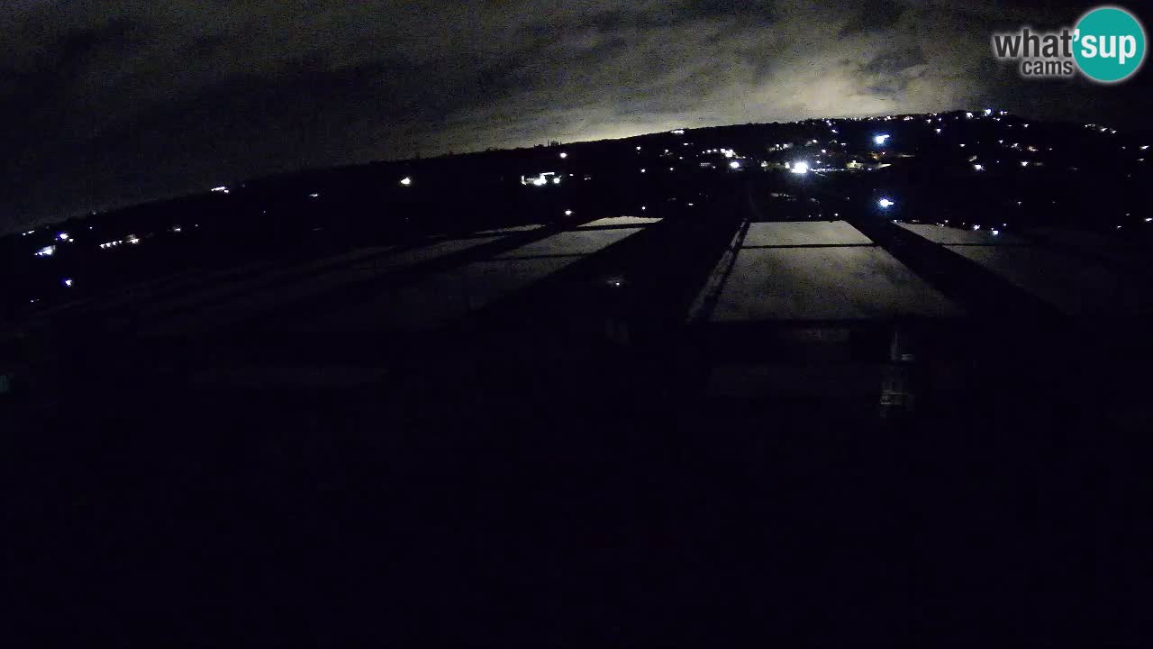 Sečovlje Salina Nature Park – KPSS