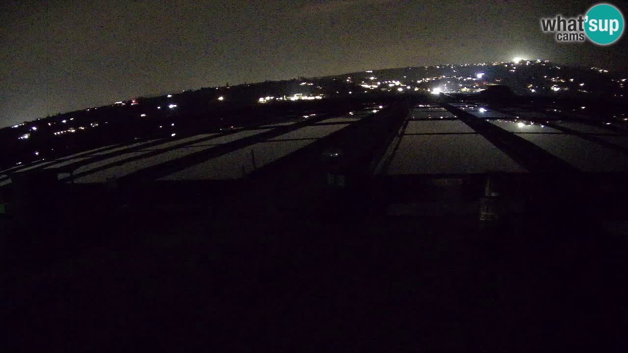 Seča – Panorama and Salina