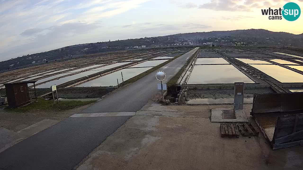 Seča – Panorama in soline