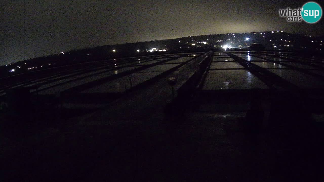 Parco Naturale Saline di Sicciole