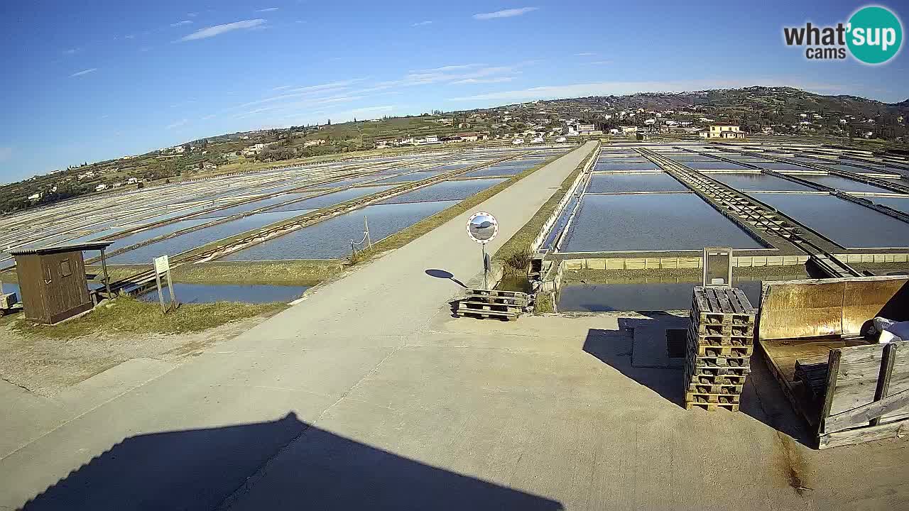 Krajinski Park Sečoveljske Soline