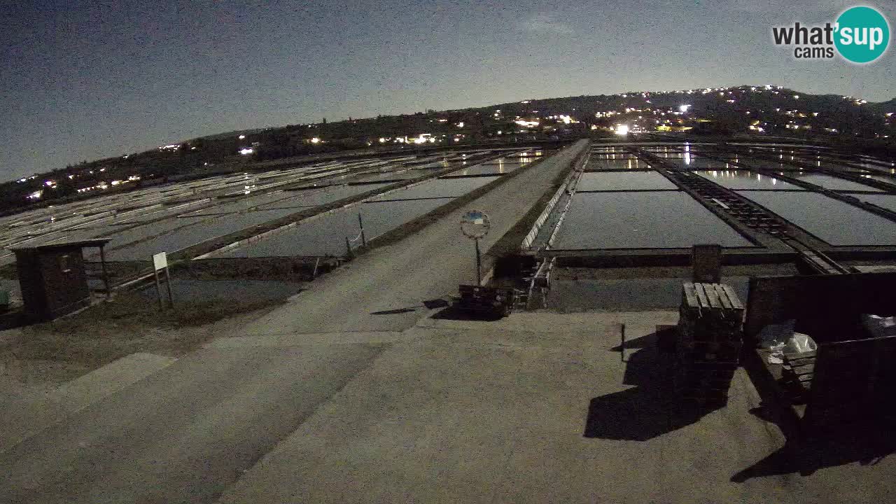 Park prirode Sečovlje Salina