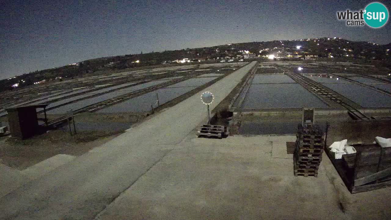 Parco Naturale Saline di Sicciole