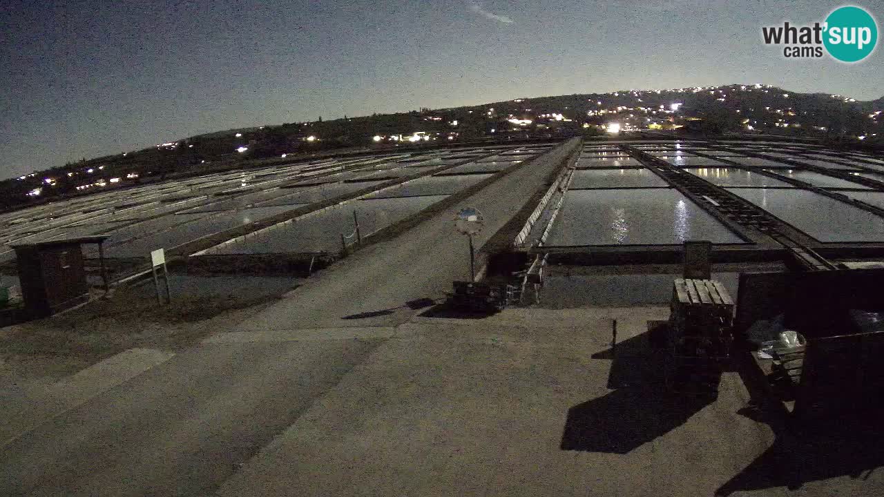 Parco Naturale Saline di Sicciole