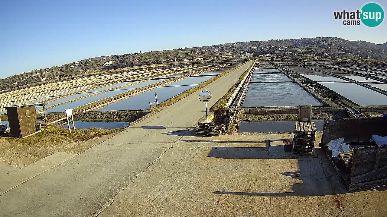 Sezza – Panorama e le saline