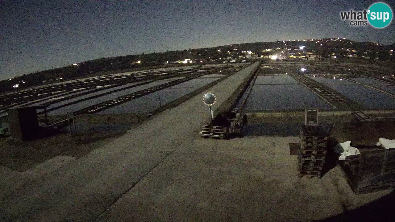 Naturpark der Salinen von Sečovlje