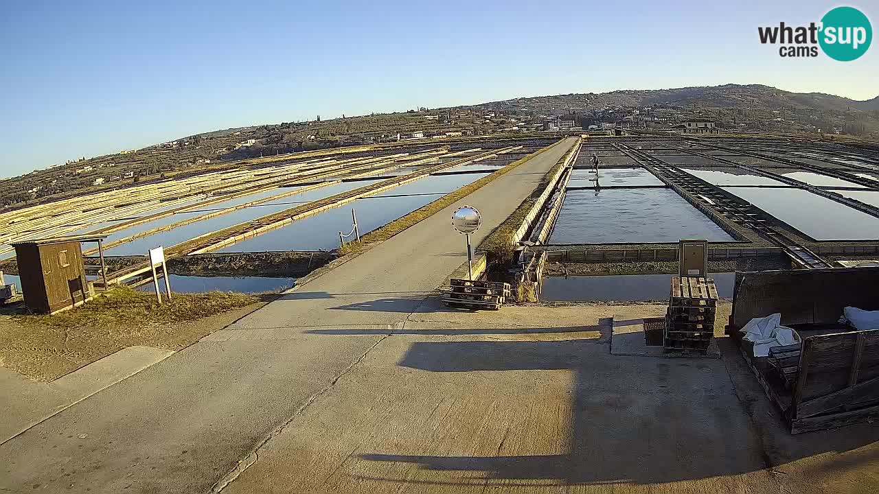 Sezza – Panorama e le saline