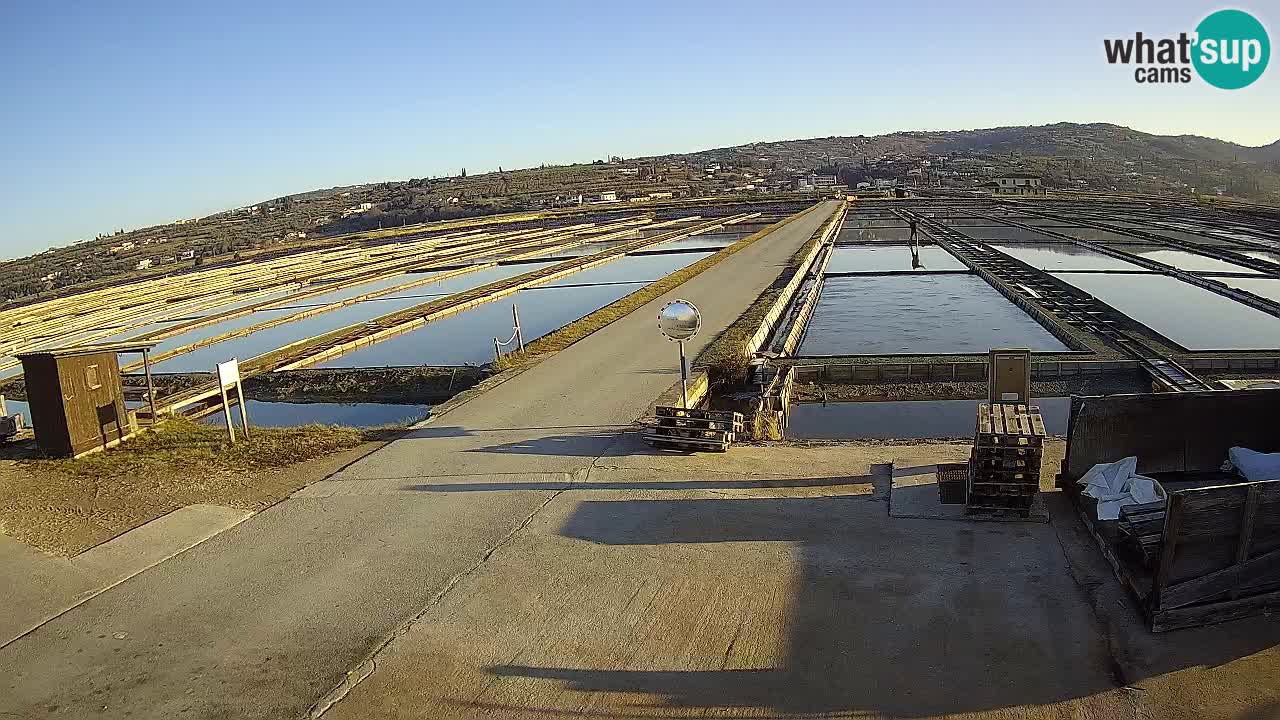 Sečovlje Salina Nature Park