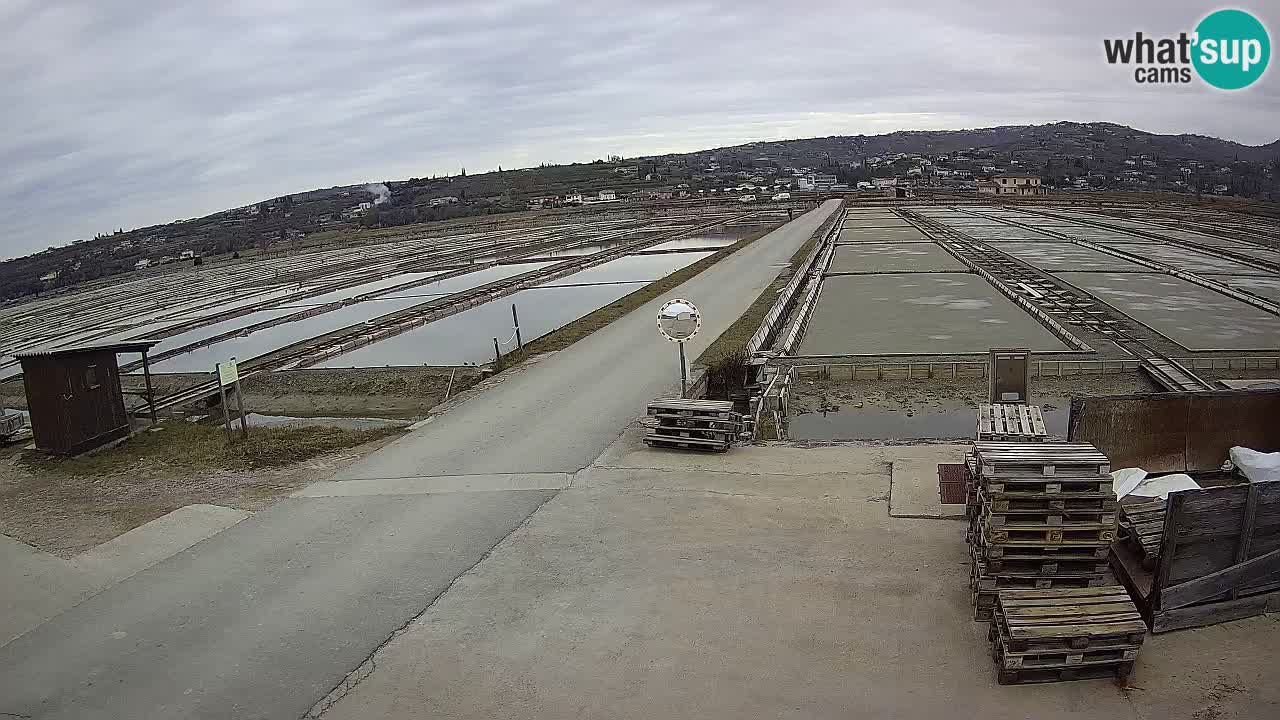 Sezza – Panorama e le saline