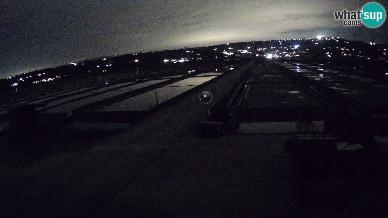 Sečovlje Salina Nature Park