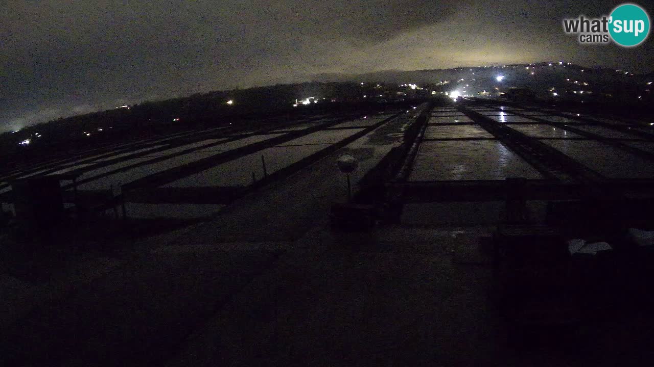 Naturpark der Salinen von Sečovlje