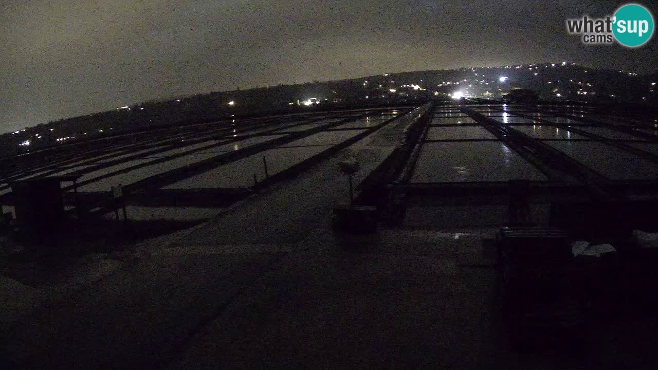 Naturpark der Salinen von Sečovlje