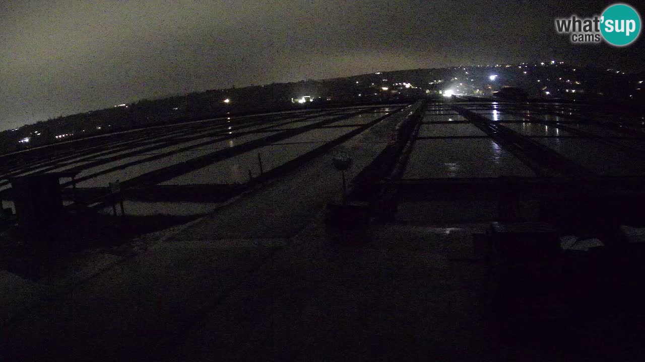 Sečovlje Salina Nature Park – KPSS