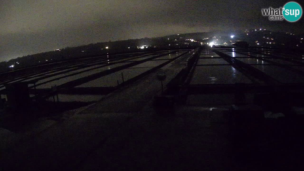 Seča – Panorama and Salina