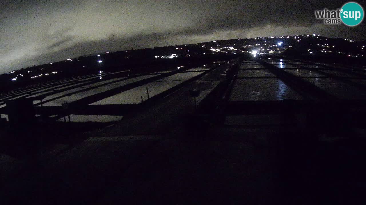 Sečovlje Salina Nature Park – KPSS