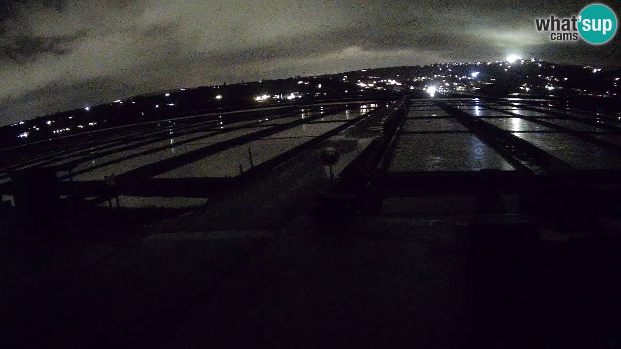 Seča – Panorama in soline