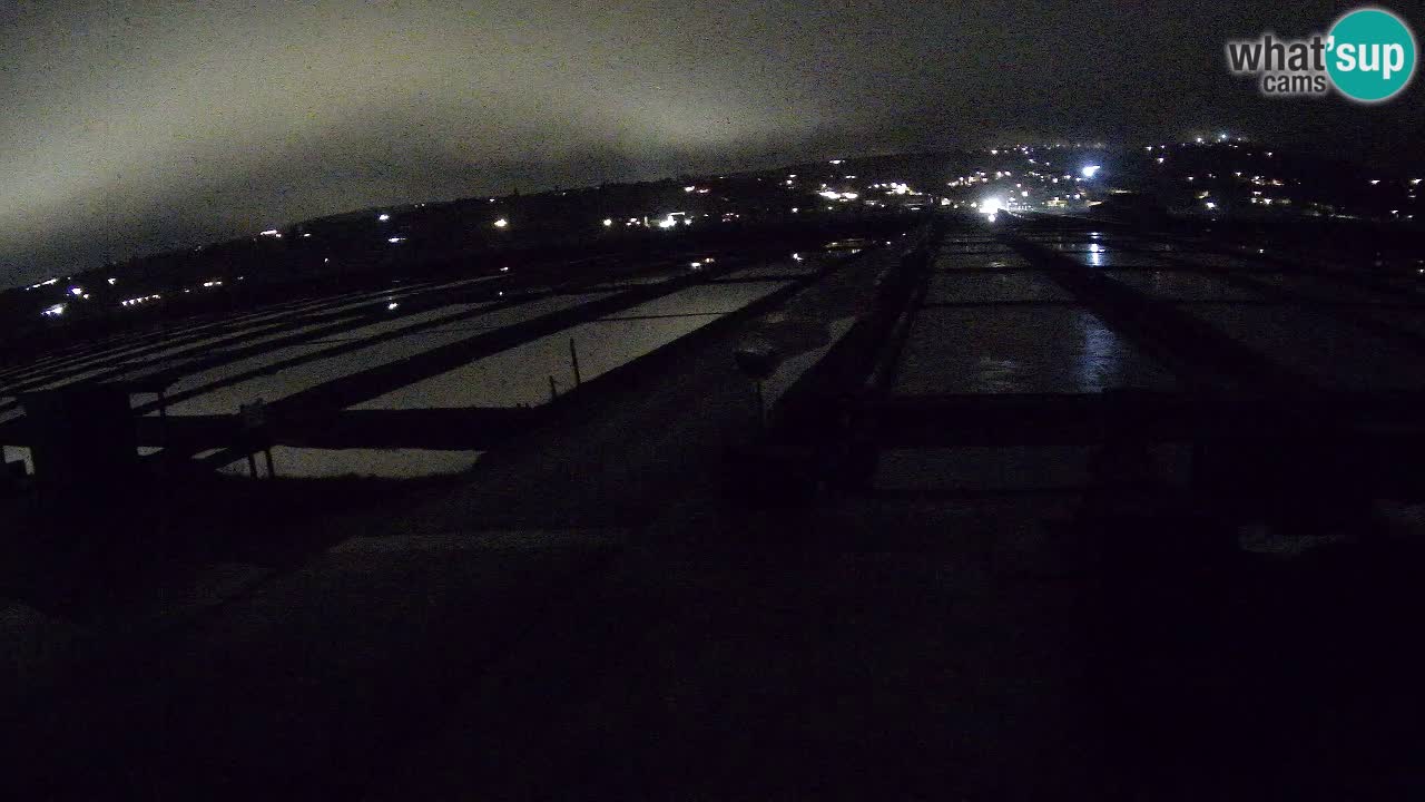 Naturpark der Salinen von Sečovlje