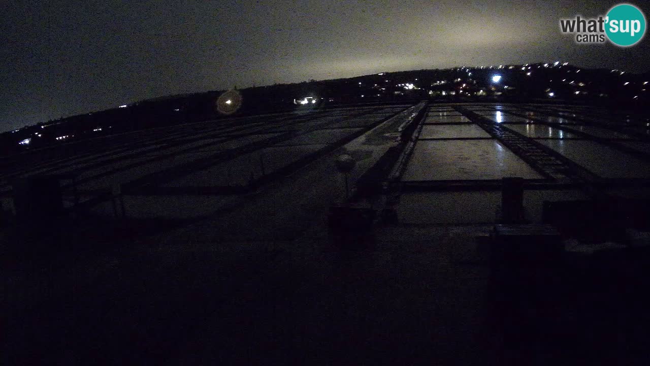 Seča – Panorama and Salina