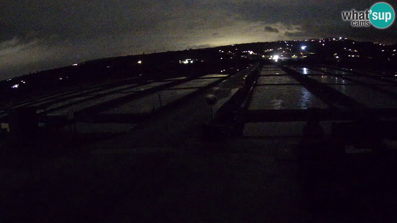 Parco Naturale Saline di Sicciole