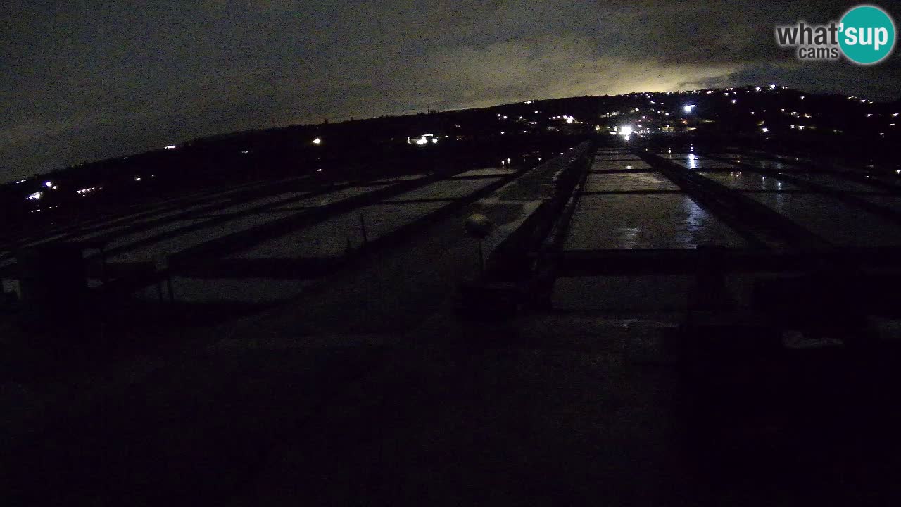 Sečovlje Salina Parque Natural