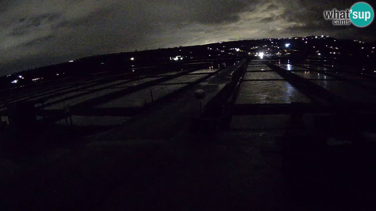 Sečovlje Salina Nature Park