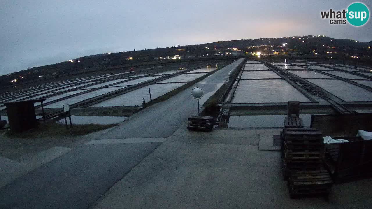 Seča – Panorama and Salina