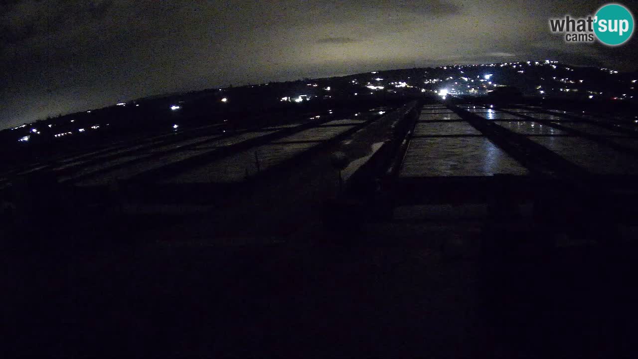 Seča – Panorama in soline