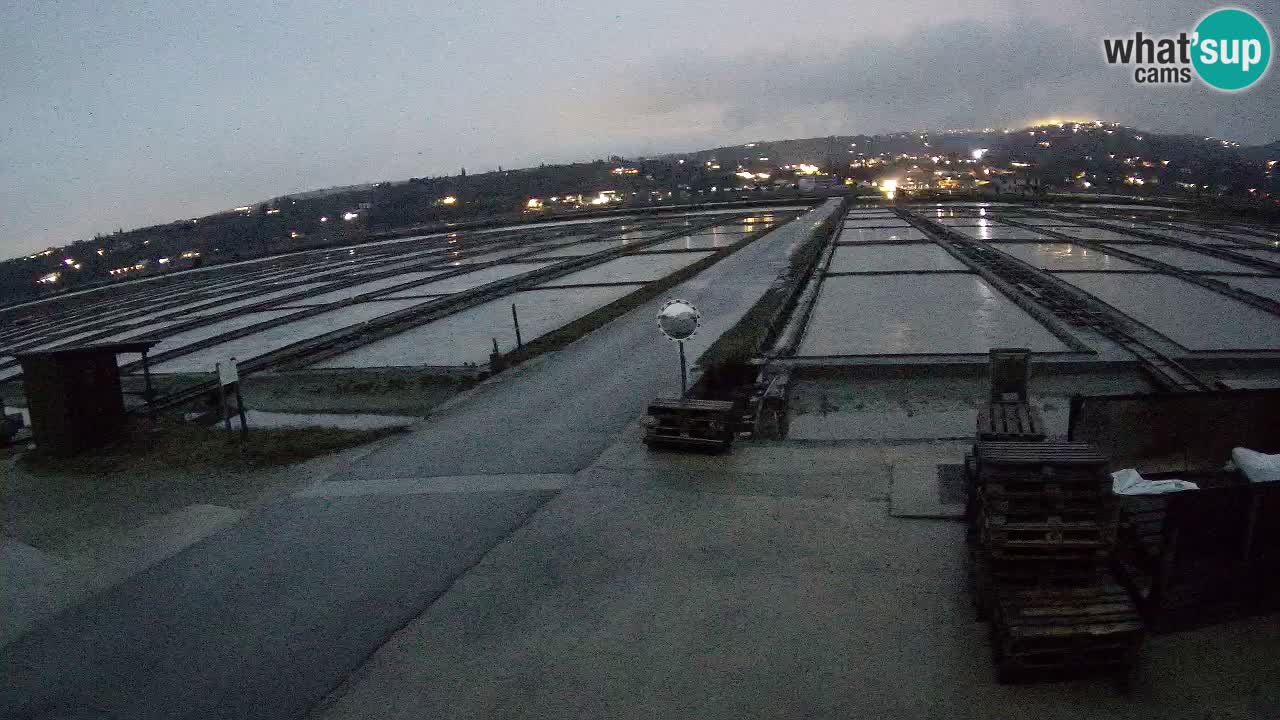 Sečovlje Salina Nature Park – KPSS