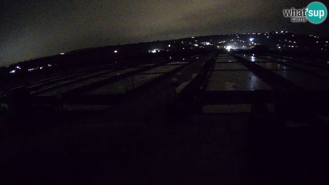 Naturpark der Salinen von Sečovlje