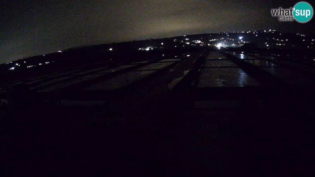 Seča – Panorama and Salina