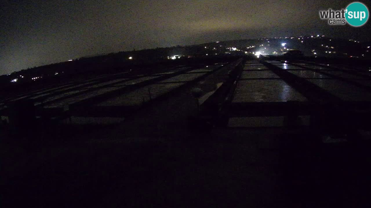 Sečovlje Salina Parque Natural