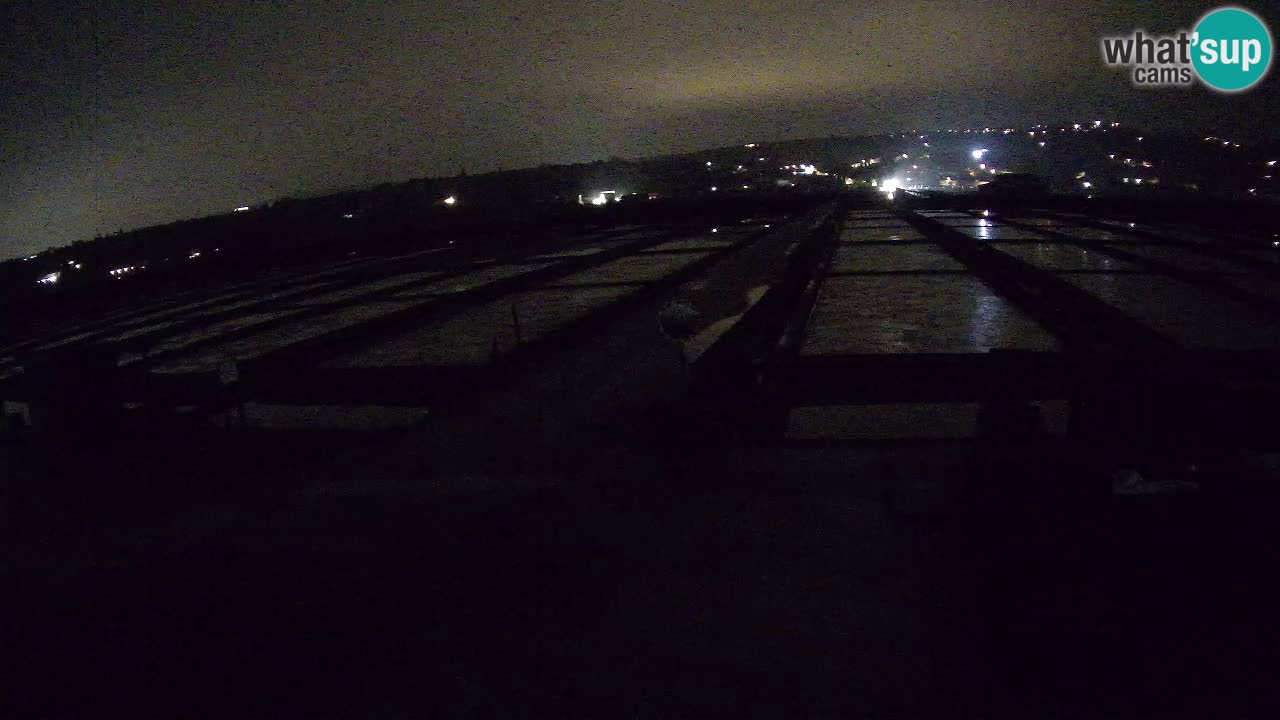 Sečovlje Salina Nature Park – KPSS