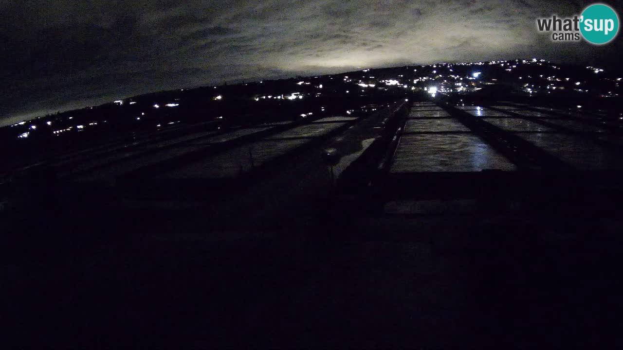 Seča – Panorama and Salina