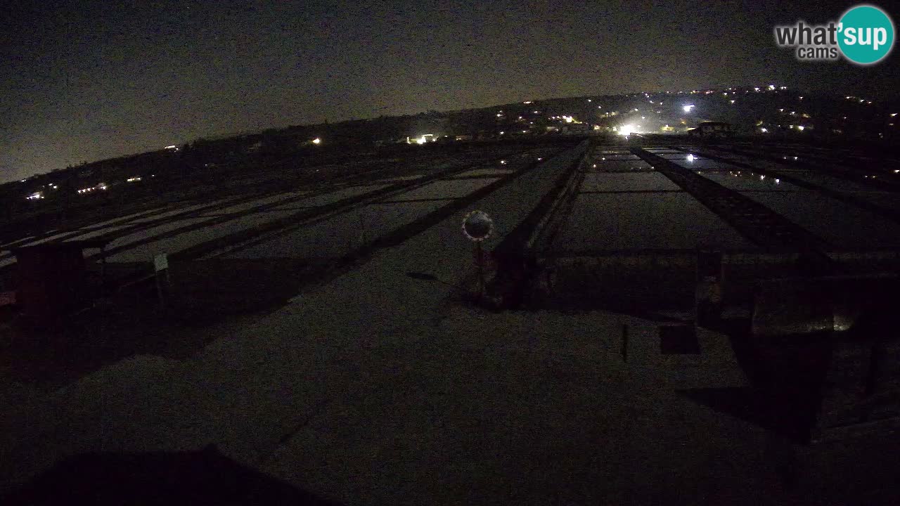 Sečovlje Salina Nature Park – KPSS