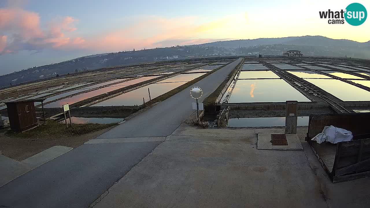 Krajinski Park Sečoveljske Soline