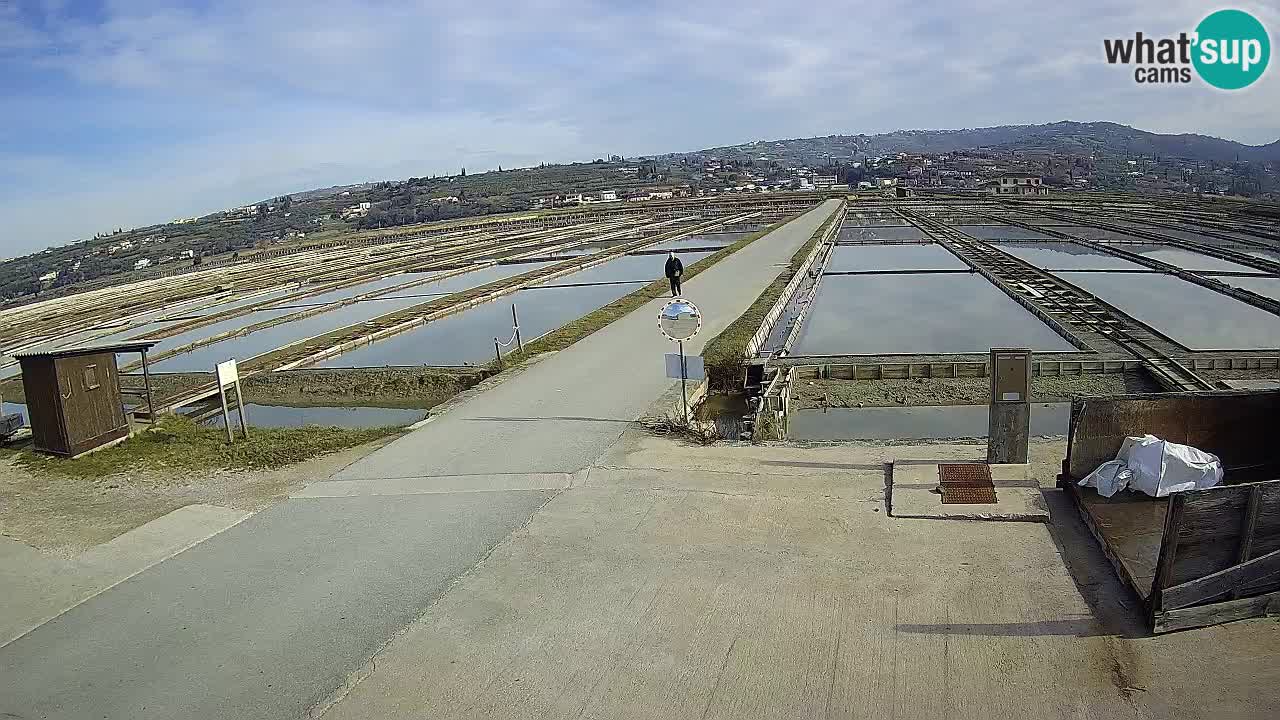 Park prirode Sečovlje Salina
