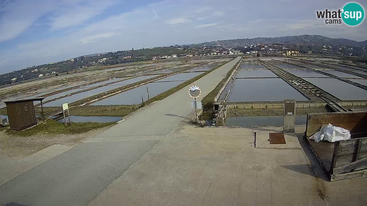 Sezza – Panorama e le saline