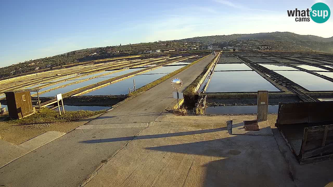Sezza – Panorama e le saline