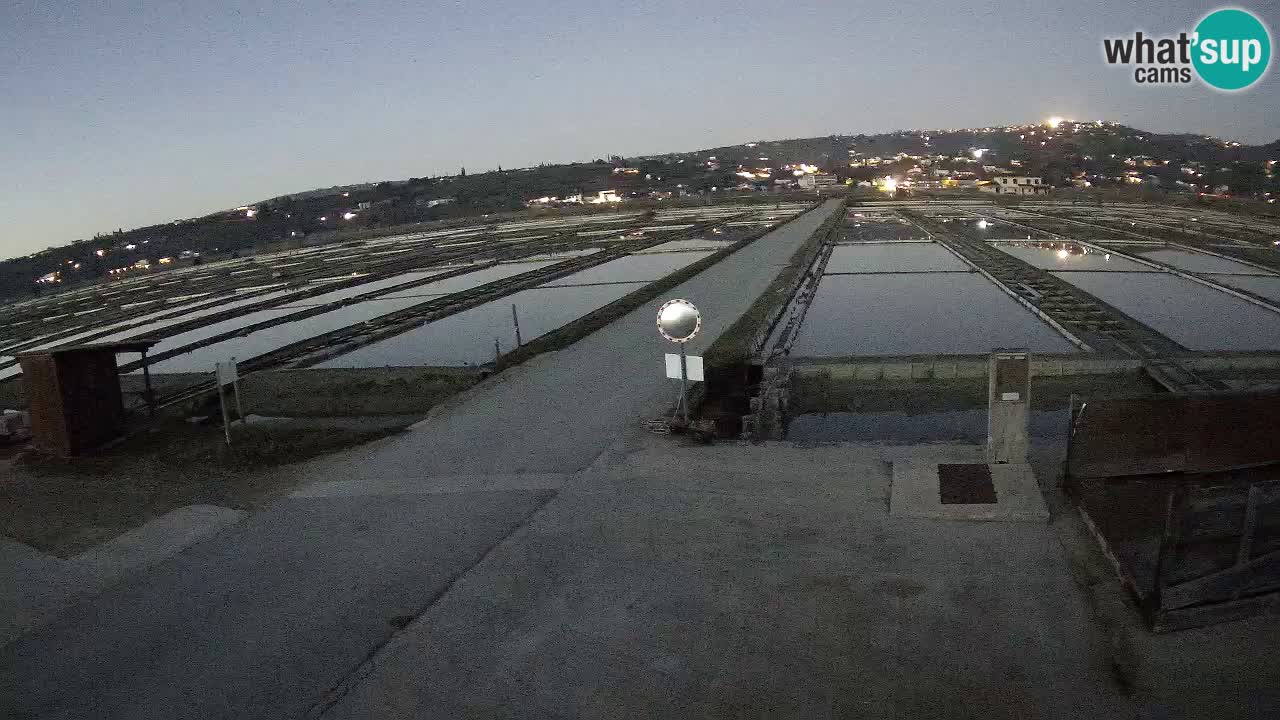 Park prirode Sečovlje Salina