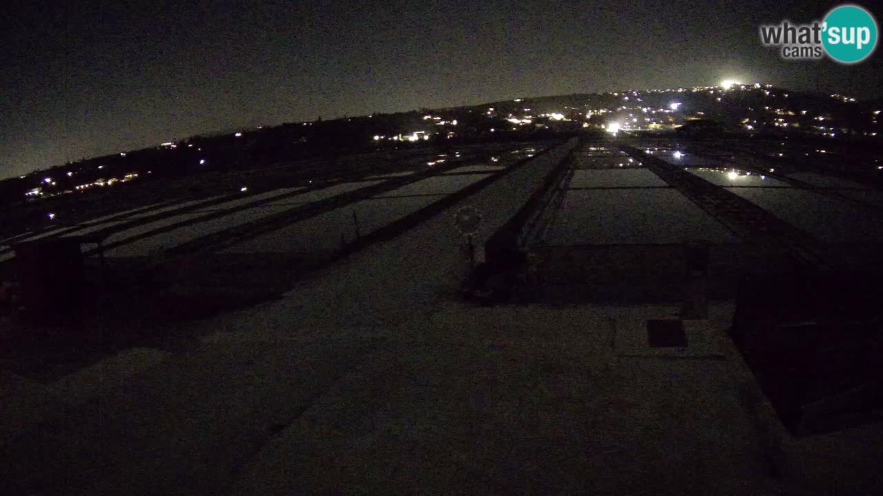 Krajinski Park Sečoveljske Soline