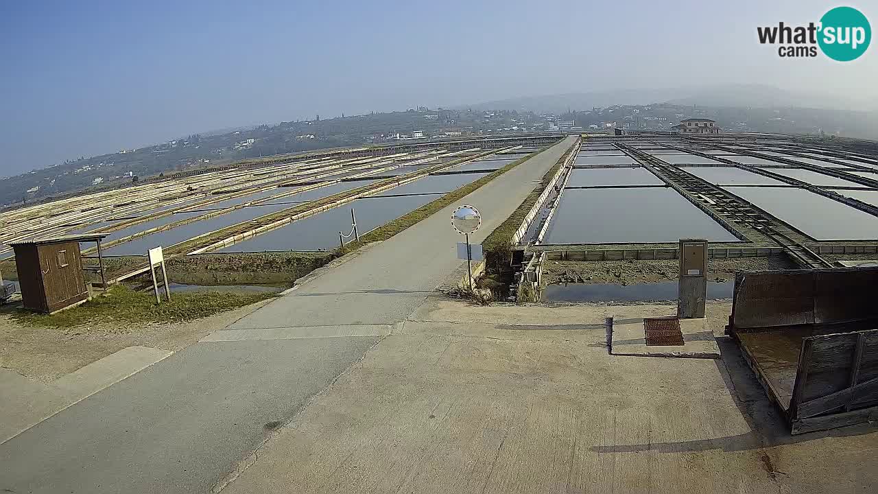 Naturpark der Salinen von Sečovlje