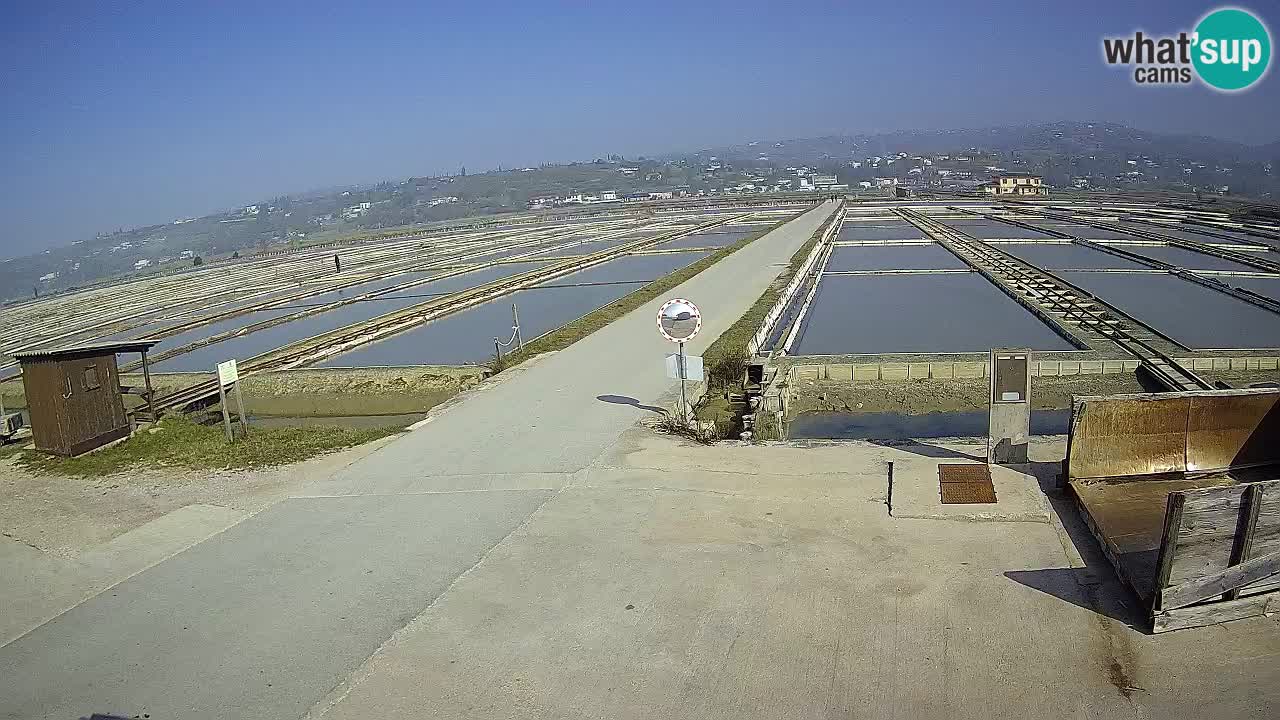 Sečovlje Salina Nature Park – KPSS