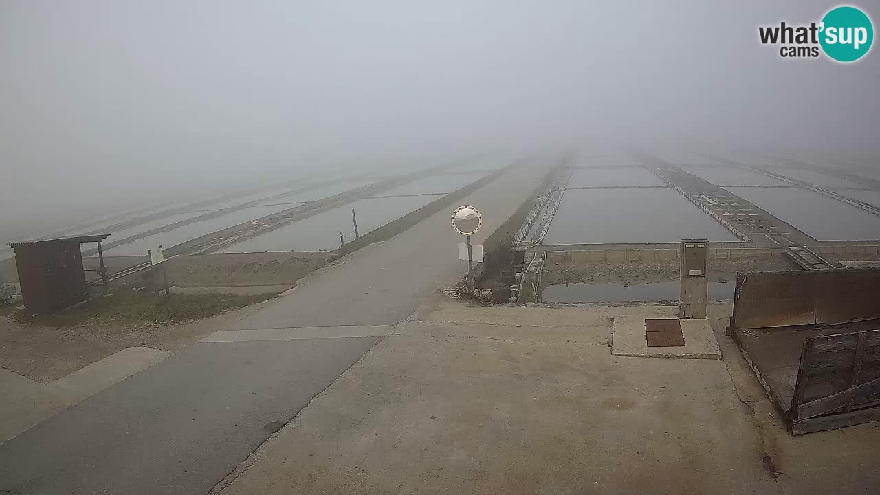 Seča – Panorama in soline